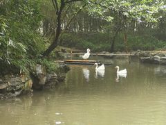 -兰亭风景区