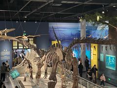 -国家自然博物馆