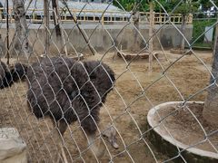 -长廊欢乐园