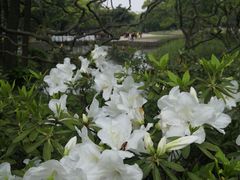 -无锡梅园公园