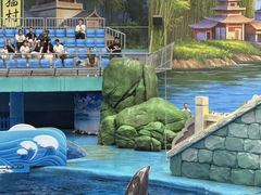 -海合安成都极地海洋公园