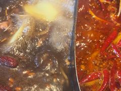 -蜀大侠火锅(总府路店)