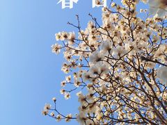 -梅兰芳纪念馆