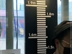 -巴依老爷新疆美食(望京小街店)