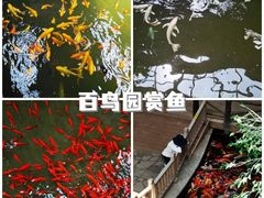 -南宫五洲植物乐园