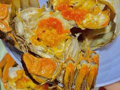 -黄记大闸蟹专卖店·活蟹·醉蟹