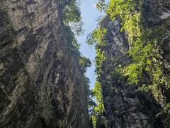 -鹿院坪生态旅游景区