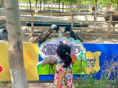 -水上乐园·欢乐世界