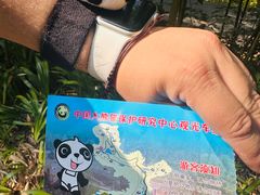 -都江堰中华大熊猫苑