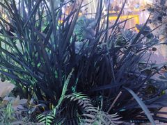 -玺尊龙·云岭四季(西南店)