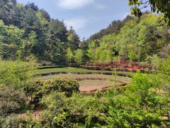 -阿哈湖国家湿地公园