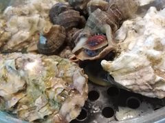 -鲜小岛·铜锅涮肉