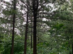 -昆嵛山石门里景区