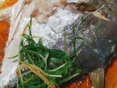 -天鹰观渔(梦园店)