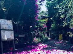 -龙姐私房菜(和顺古镇店)