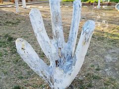 -山东大学(洪家楼校区)