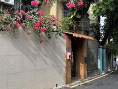 -溪岸路花鸟市场
