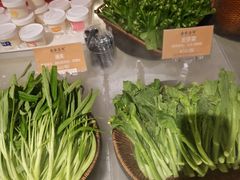 -南海渔村(珠江新城店)
