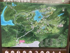 -深圳仙湖植物园