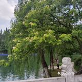 古逍遥津[胜利]转一转~