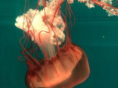 -多彩贵州城极地海洋世界