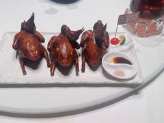 -侨美食家·40年地道粤菜(珠江新城店)