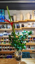 -今日陶艺(富力广场店)