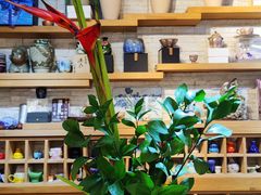 -今日陶艺(富力广场店)