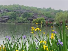 -重庆园博园