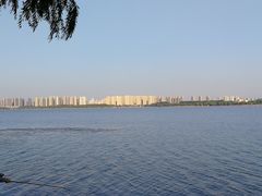 -丁香湖公园