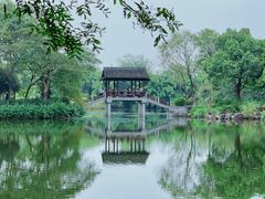 -西溪国家湿地公园