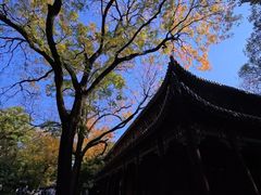 -灵谷景区