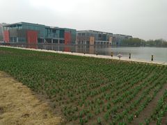 -廊坊文化艺术中心