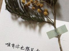 -嘿哟动霸CHUA·新潮玩运动娱乐中心·蹦床滑冰团建乐园