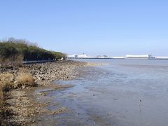 -上海吴淞炮台湾国家湿地公园