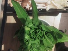 -陈记顺和牛肉火锅馆(天河北路店)