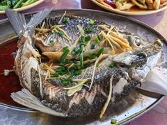 -悦来居•农家美食•生态有机•老式民宅(溪头村店)