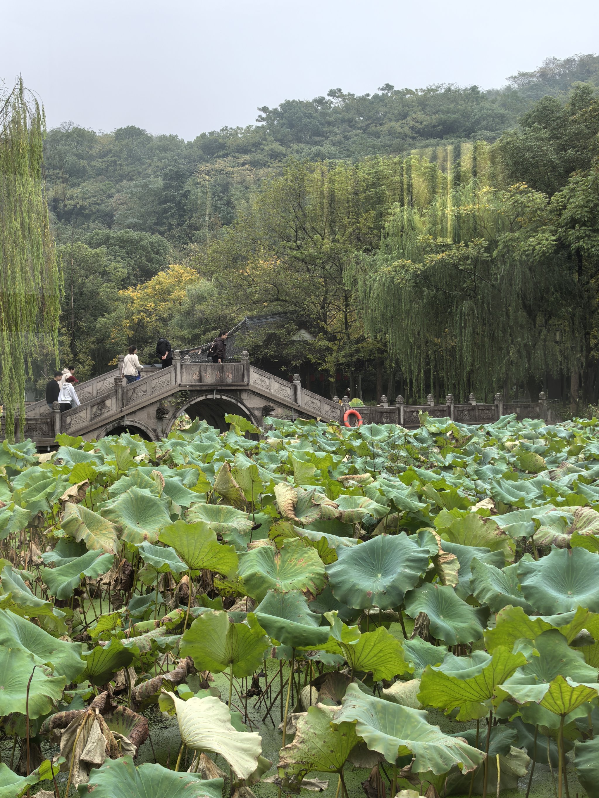 诸暨周边旅游景点推荐图片