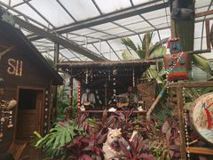 -呀路古热带植物园