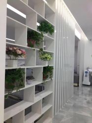 -莱可美科技美肤