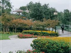 -铁山坪森林公园