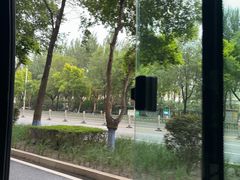 -龙塔