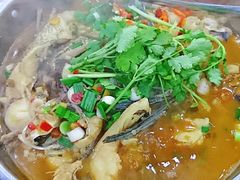 -全乐鱼馆·淳牌有机鱼直营店