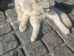 -顺香居·老字号湖北菜(江汉路店)