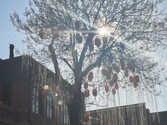 -天津五大道文化旅游区