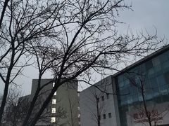 -沈阳职业技术学院