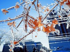 -长春公园(普阳街道)