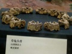 -北京周口店北京人遗址博物馆