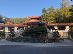 -深圳仙湖植物园