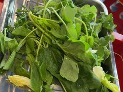 -金鼎雪山牦牛杂火锅(理县总店)